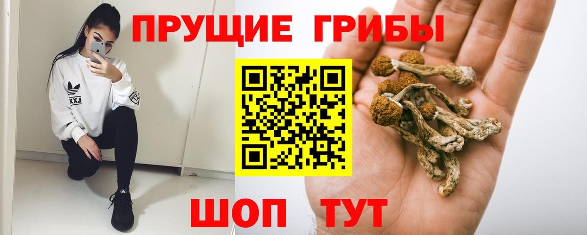 Галлюциногенные грибы Psilocybine cubensis  Вход с VPN  Воронеж 